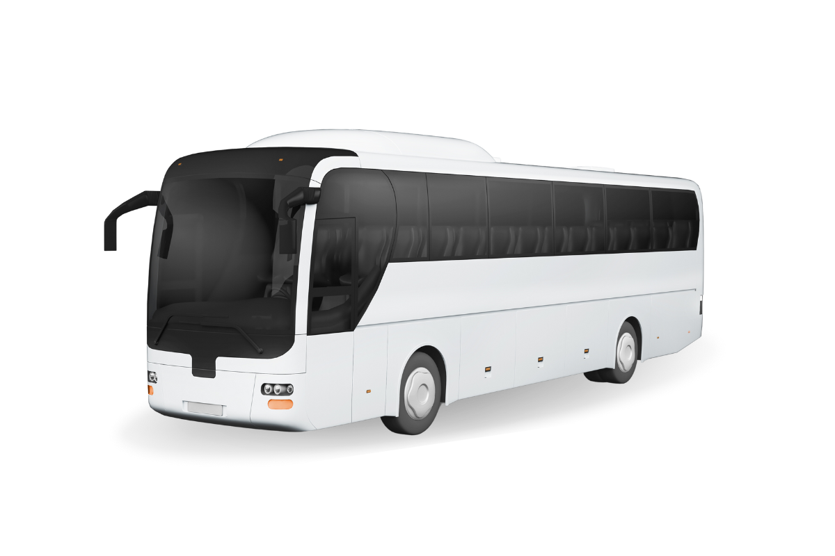 Bus Coaches