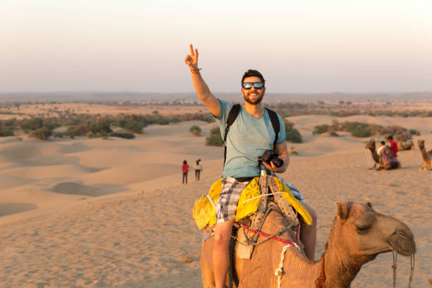 Go India Tours